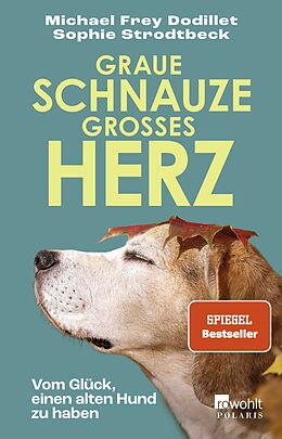 Kartonierter Einband Graue Schnauze, großes Herz von Michael Frey Dodillet, Sophie Strodtbeck