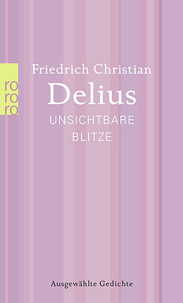 Kartonierter Einband Unsichtbare Blitze von Friedrich Christian Delius