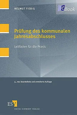 E-Book (pdf) Prüfung des kommunalen Jahresabschlusses von Helmut Fiebig