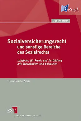 E-Book (pdf) Sozialversicherungsrecht und sonstige Bereiche des Sozialrechts von Hans-Dieter Braun, Stefanie Gnirke, Thomas Göhde