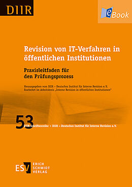 E-Book (pdf) Revision von IT-Verfahren in öffentlichen Institutionen von 