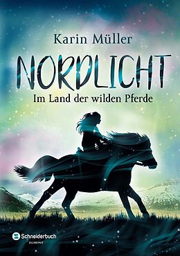 Kartonierter Einband Nordlicht, Band 01 von Karin Müller