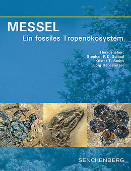Fester Einband MESSEL - Ein fossiles Tropenökosystem von 