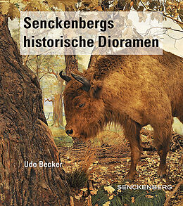 Kartonierter Einband Senckenbergs historische Dioramen von Udo Becker