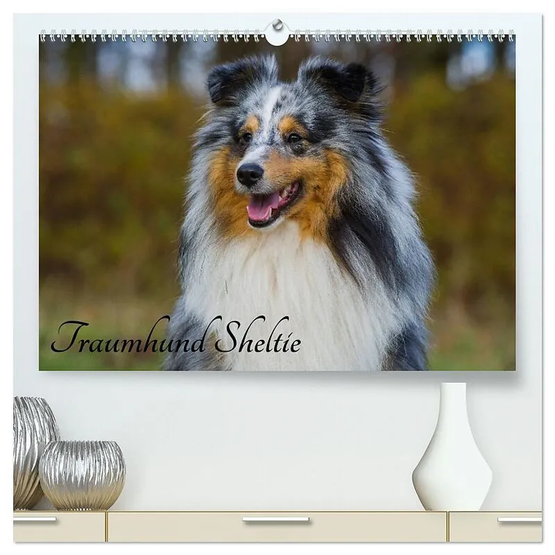 Traumhund Sheltie (hochwertiger Premium Wandkalender 2026 DIN A2 quer), Kunstdruck in Hochglanz