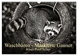 Kalender Waschbären - Maskierte Gauner (Wandkalender 2026 DIN A3 quer), CALVENDO Monatskalender von Klaus-Peter Selzer