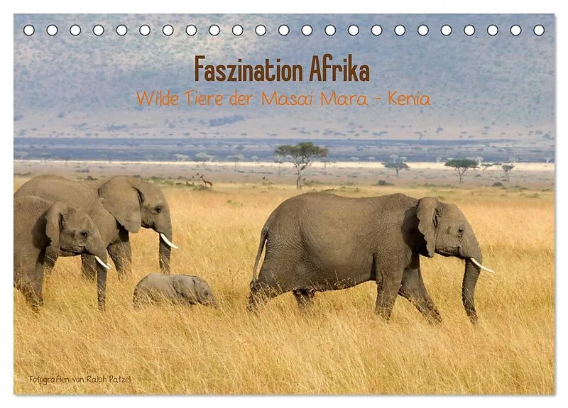 Faszination Afrika - wilde Tiere der Masai Mara - Kenia (Tischkalender 2026 DIN A5 quer), CALVENDO Monatskalender