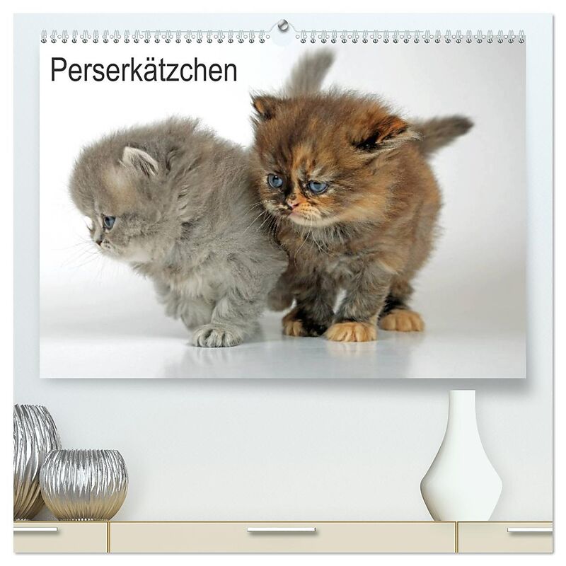 Perserkätzchen (hochwertiger Premium Wandkalender 2026 DIN A2 quer), Kunstdruck in Hochglanz
