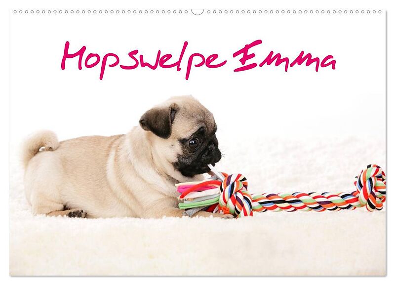 Mopswelpe Emma (Wandkalender 2026 DIN A2 quer), CALVENDO Monatskalender