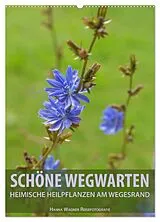 Kalender Schöne Wegwarten. Heimische Heilpflanzen am Wegesrand (Wandkalender 2026 DIN A2 hoch), CALVENDO Monatskalender von Hanna Wagner