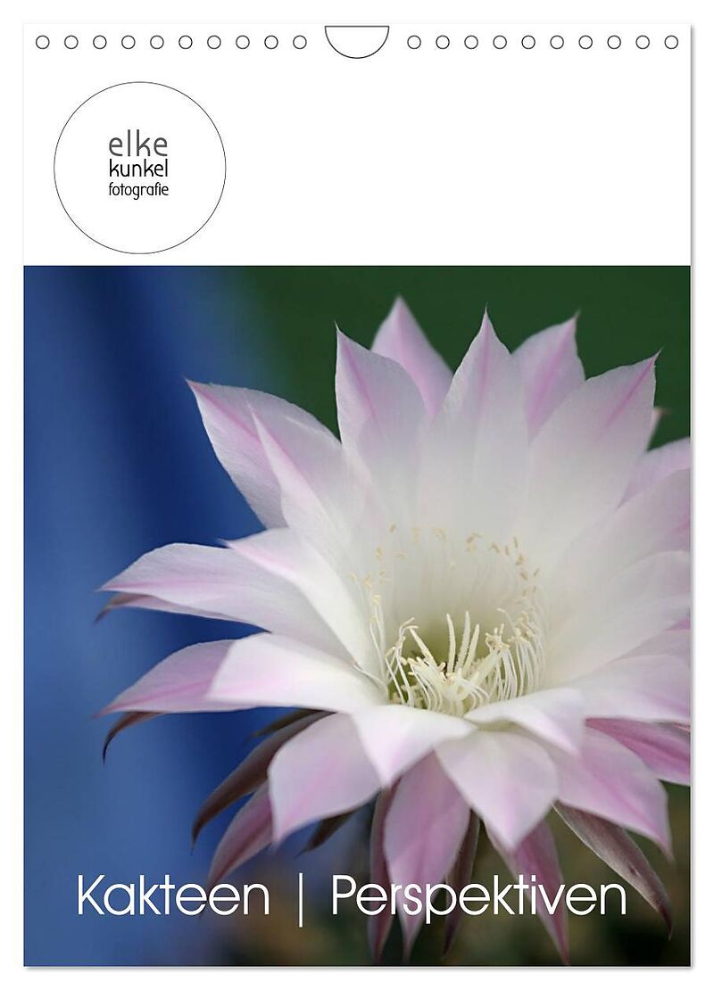Kakteen Perspektiven (Wandkalender 2026 DIN A4 hoch), CALVENDO Monatskalender
