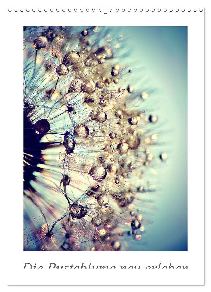 Die Pusteblume neu erleben (Wandkalender 2026 DIN A3 hoch), CALVENDO Monatskalender