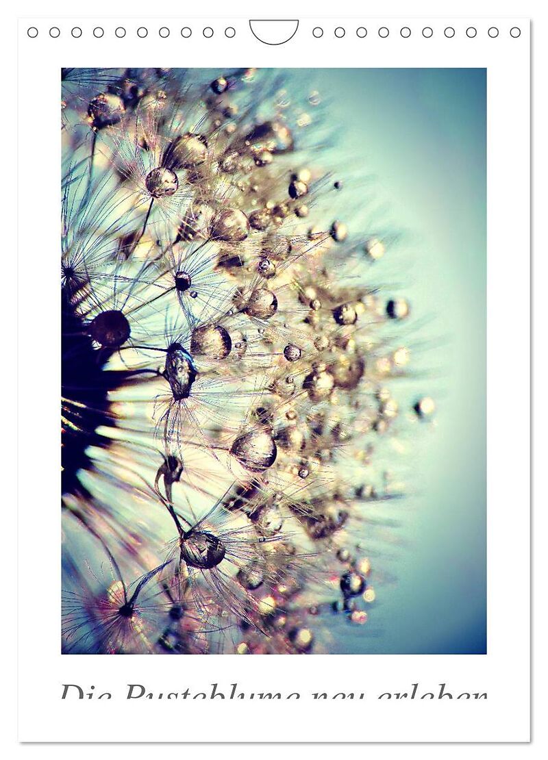 Die Pusteblume neu erleben (Wandkalender 2026 DIN A4 hoch), CALVENDO Monatskalender