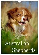 Kalender Australian Shepherds (Wandkalender 2026 DIN A3 hoch), CALVENDO Monatskalender von Nicole Noack