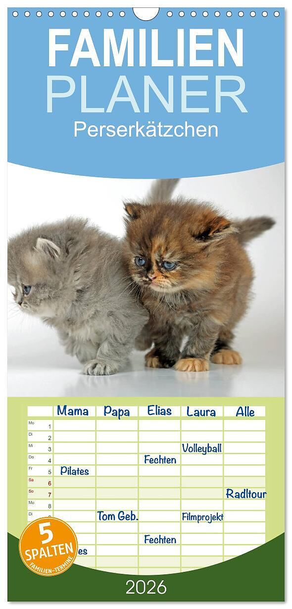 Familienplaner 2026 - Perserkätzchen mit 5 Spalten (Wandkalender, 21 x 45 cm) CALVENDO