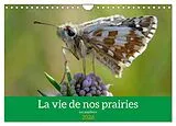 Kalender (Kal) La vie de nos prairie, les papillons (Calendrier mural 2026 DIN A4 vertical), CALVENDO calendrier mensuel von Alain Gaymard