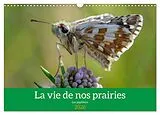 Kalender (Kal) La vie de nos prairie, les papillons (Calendrier mural 2026 DIN A3 vertical), CALVENDO calendrier mensuel von Calvendo, Alain Gaymard