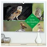 Kalender (Kal) La vie des chouettes, les dames de la nuit (Calendrier mural 2026 DIN A2 vertical) calendrier de bureau von Calvendo, Alain Gaymard