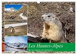 Kalender (Kal) Les Hautes-Alpes sur les chemins des marmottes (Calendrier mural 2026 DIN A3 vertical), CALVENDO calendrier mensuel von Calvendo, Alain Gaymard