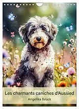 Kalender (Kal) Les charmants caniches d'Aussied - Angelika Beuck (Calendrier mural 2026 DIN A4 horizontal), CALVENDO calendrier mensuel von Angelika Beuck