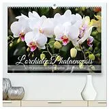 Kalender L'orchidée Phalaenopsis (Calendrier mural 2026 DIN A2 vertical) calendrier de bureau von Calvendo, Gisela Kruse