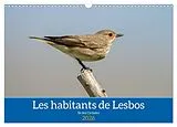 Kalender (Kal) Les habitants de Lesbos Ile des cyclades (Calendrier mural 2026 DIN A3 vertical), CALVENDO calendrier mensuel von Alain Gaymard