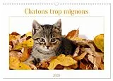 Kalender (Kal) Chatons trop mignons (Calendrier mural 2026 DIN A3 vertical), CALVENDO calendrier mensuel von Jérôme Aupeix
