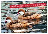 Kalender (Kal) D'adorables nageurs à plumes (Calendrier mural 2026 DIN A4 vertical), CALVENDO calendrier mensuel von Gisela Kruse