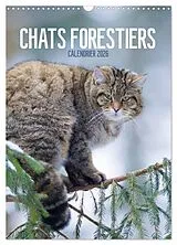 Kalender Chats forestiers (Calendrier mural 2026 DIN A3 horizontal), CALVENDO calendrier mensuel von Christina Krutz