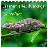 Kalender (Kal) Les merveilles du monde les reptiles (Calendrier mural carré 2026 30x30 cm) Calendrier double avec une page pour vos prises de notes von Calvendo, Sarah Gilliéron