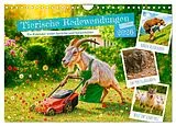 Kalender Tierische Redewendungen - Ein Kalender voller Sprüche und Sprachbilder (Wandkalender 2026 DIN A4 quer), CALVENDO Monatskalender von Anja Frost