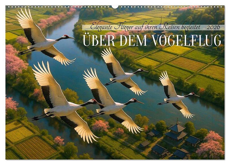 Über dem Vogelflug (Wandkalender 2026 DIN A2 quer), CALVENDO Monatskalender