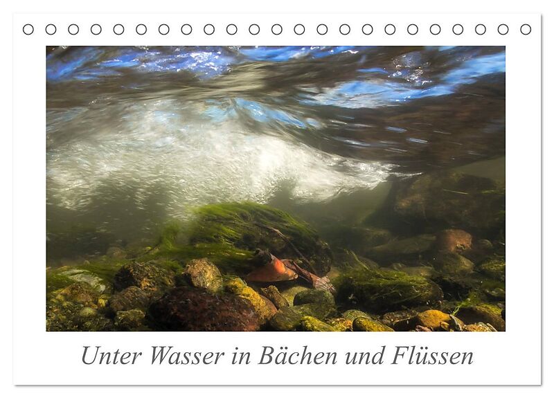 Unter Wasser in Bächen und Flüssen (Tischkalender 2026 DIN A5 quer), CALVENDO Monatskalender