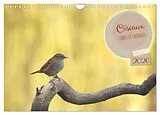 Kalender Oiseaux libres et sauvages (Calendrier mural 2026 DIN A4 vertical), CALVENDO calendrier mensuel von Jérôme Aupeix