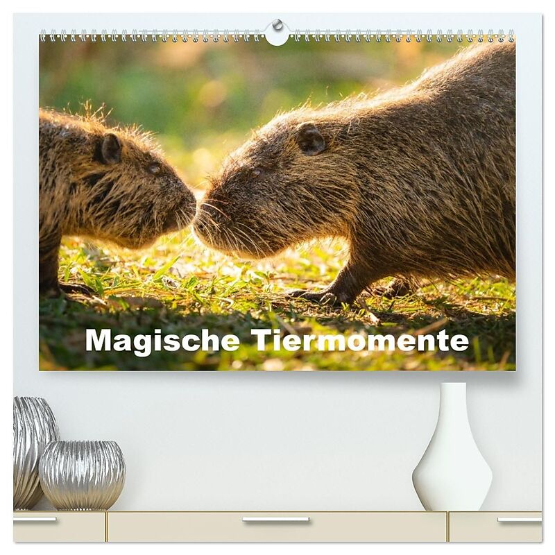 Magische Tiermomente (hochwertiger Premium Wandkalender 2027 DIN A2 quer), Kunstdruck in Hochglanz