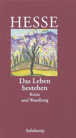 Livre Relié »Das Leben bestehen« de Hermann Hesse