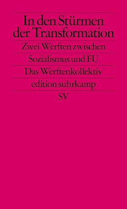 Kartonierter Einband In den Stürmen der Transformation von Philipp Ther, Ulf Brunnbauer, Piotr Filipkowski