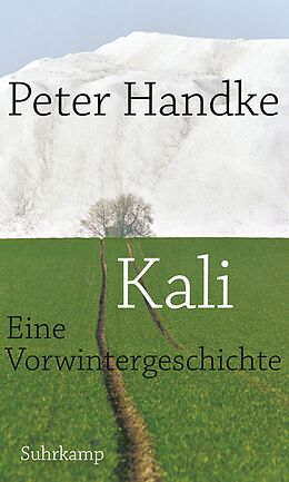 Kartonierter Einband Kali von Peter Handke