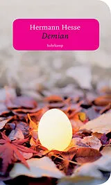 Kartonierter Einband Demian von Hermann Hesse