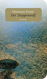 Kartonierter Einband Der Steppenwolf von Hermann Hesse