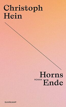 Kartonierter Einband Horns Ende von Christoph Hein