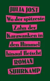 Kartonierter Einband Wo der spitzeste Zahn der Karawanken in den Himmel hinauf fletscht von Julia Jost