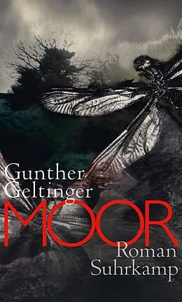 E-Book (epub) Moor von Gunther Geltinger