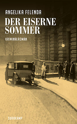 E-Book (epub) Der eiserne Sommer von Angelika Felenda