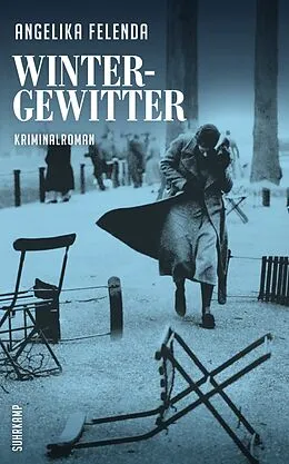 E-Book (epub) Wintergewitter von Angelika Felenda