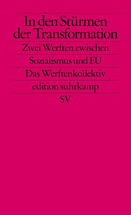 E-Book (epub) In den Stürmen der Transformation von Philipp Ther, Ulf Brunnbauer, Piotr Filipkowski