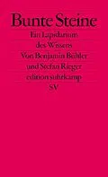 E-Book (epub) Bunte Steine von Benjamin Bühler, Stefan Rieger