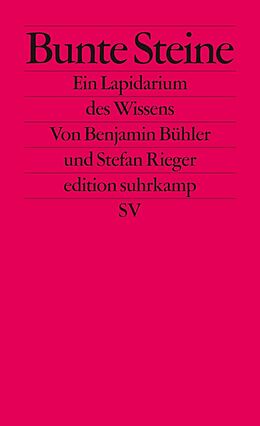 E-Book (epub) Bunte Steine von Benjamin Bühler, Stefan Rieger
