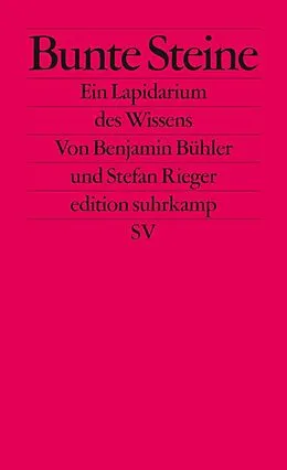 E-Book (epub) Bunte Steine von Benjamin Bühler, Stefan Rieger