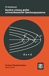 Kartonierter Einband Iterative Lösung großer schwachbesetzter Gleichungssysteme von Wolfgang Hackbusch